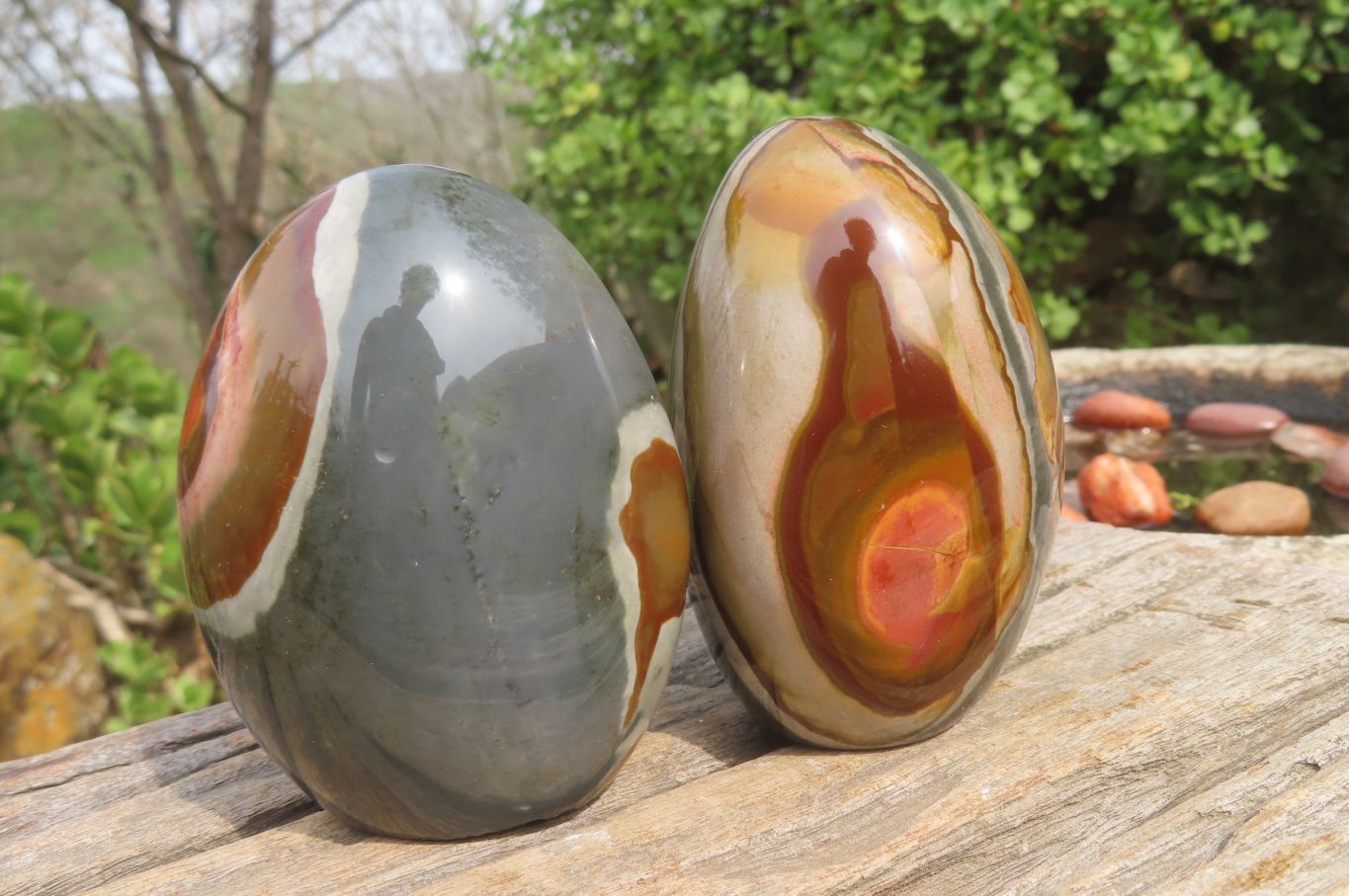 Polished Polychrome Jasper Standing Free Forms x 4 From Madagascar - Toprock Gemstones and Minerals 