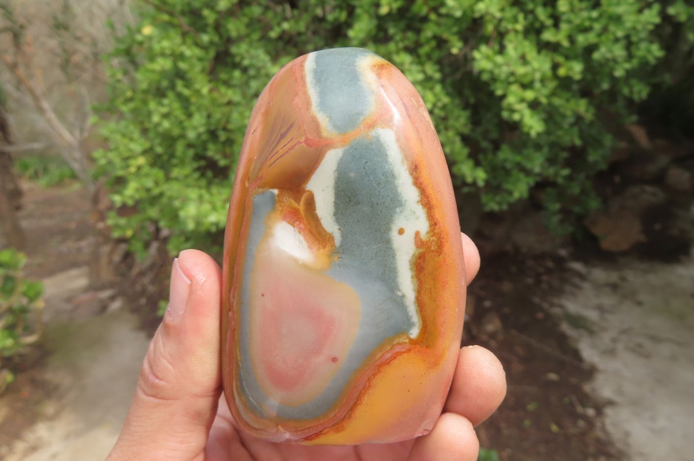 Polished Polychrome Jasper Standing Free Forms x 4 From Madagascar - Toprock Gemstones and Minerals 