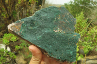 Natural Crystalline Malachite Specimens x 2 From Kasompe, Congo - Toprock Gemstones and Minerals 
