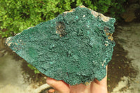 Natural Crystalline Malachite Specimens x 2 From Kasompe, Congo - Toprock Gemstones and Minerals 