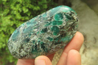 Polished Rare Emerald Mica In Matrix Free Forms x 12 From Mutoko, Zimbabwe - Toprock Gemstones and Minerals 