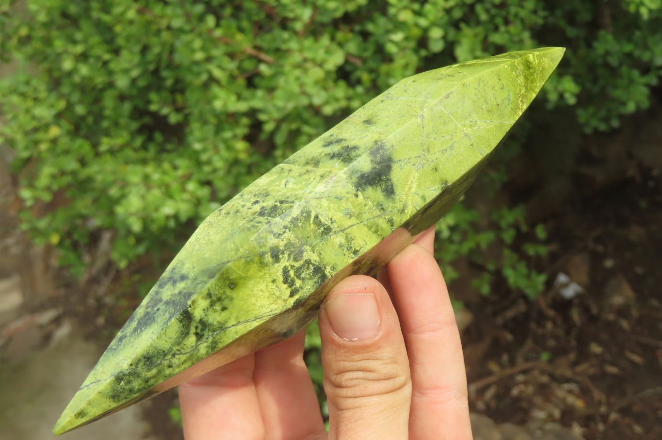 Polished Double Terminated Leopard Stone Points x 3 From Zimbabwe - Toprock Gemstones and Minerals 