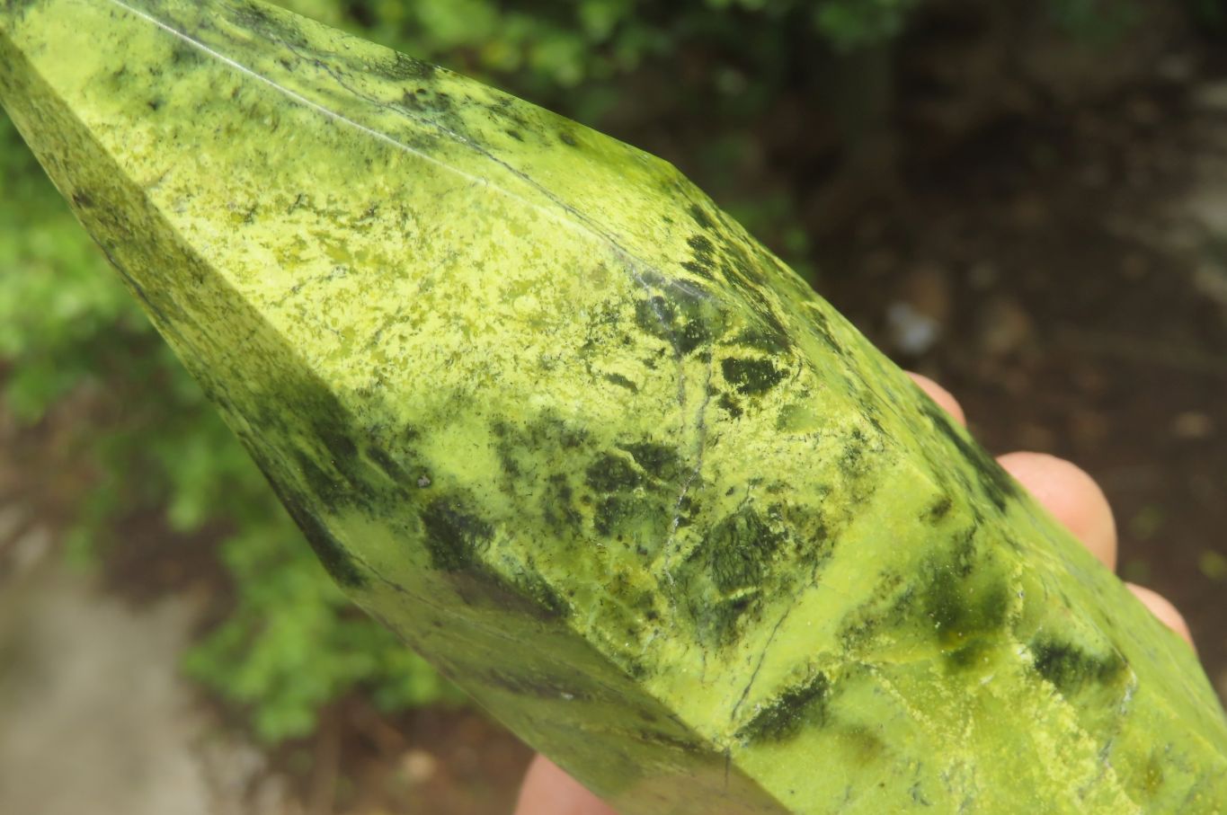 Polished Double Terminated Leopard Stone Points x 3 From Zimbabwe - Toprock Gemstones and Minerals 