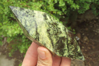 Polished Double Terminated Leopard Stone Points x 3 From Zimbabwe - Toprock Gemstones and Minerals 