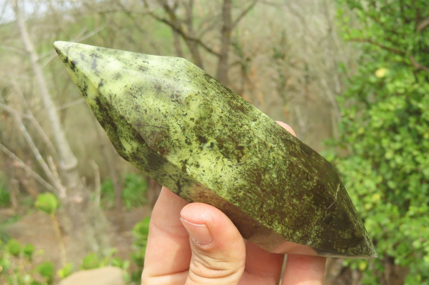 Polished Double Terminated Leopard Stone Points x 3 From Zimbabwe - Toprock Gemstones and Minerals 