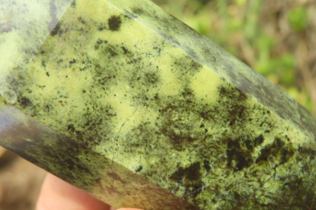 Polished Double Terminated Leopard Stone Points x 3 From Zimbabwe - Toprock Gemstones and Minerals 