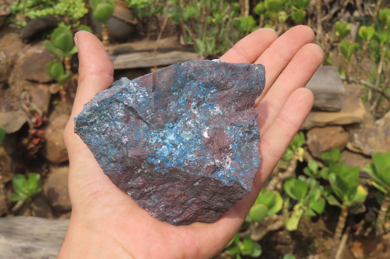 Natural Shattuckite Matrix Cobbed Specimens x 7 From Namibia - Toprock Gemstones and Minerals 