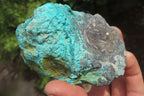 Natural Shattuckite Matrix Cobbed Specimens x 7 From Namibia - Toprock Gemstones and Minerals 