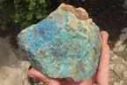 Natural Shattuckite Matrix Cobbed Specimens x 7 From Namibia - Toprock Gemstones and Minerals 