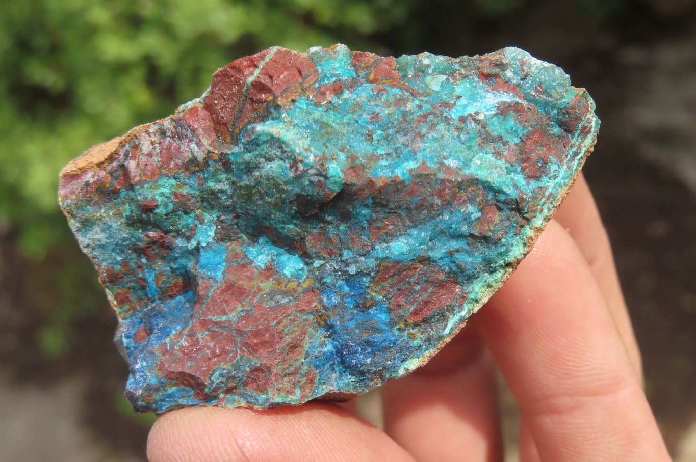 Natural Shattuckite Matrix Cobbed Specimens x 7 From Namibia - Toprock Gemstones and Minerals 