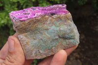Natural Salrose Cobaltion Dolomite Specimens x 6 From Kakanda, Congo - Toprock Gemstones and Minerals 