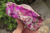 Natural Salrose Cobaltion Dolomite Specimens x 6 From Kakanda, Congo - Toprock Gemstones and Minerals 