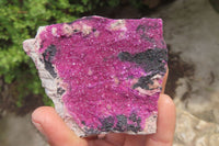 Natural Salrose Cobaltion Dolomite Specimens x 6 From Kakanda, Congo - Toprock Gemstones and Minerals 