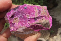 Natural Salrose Cobaltion Dolomite Specimens x 6 From Kakanda, Congo - Toprock Gemstones and Minerals 