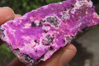 Natural Salrose Cobaltion Dolomite Specimens x 6 From Kakanda, Congo - Toprock Gemstones and Minerals 