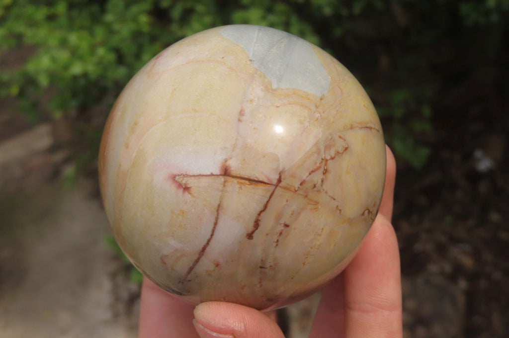 Polished Polychrome Jasper Spheres x 2 From Madagascar - Toprock Gemstones and Minerals 
