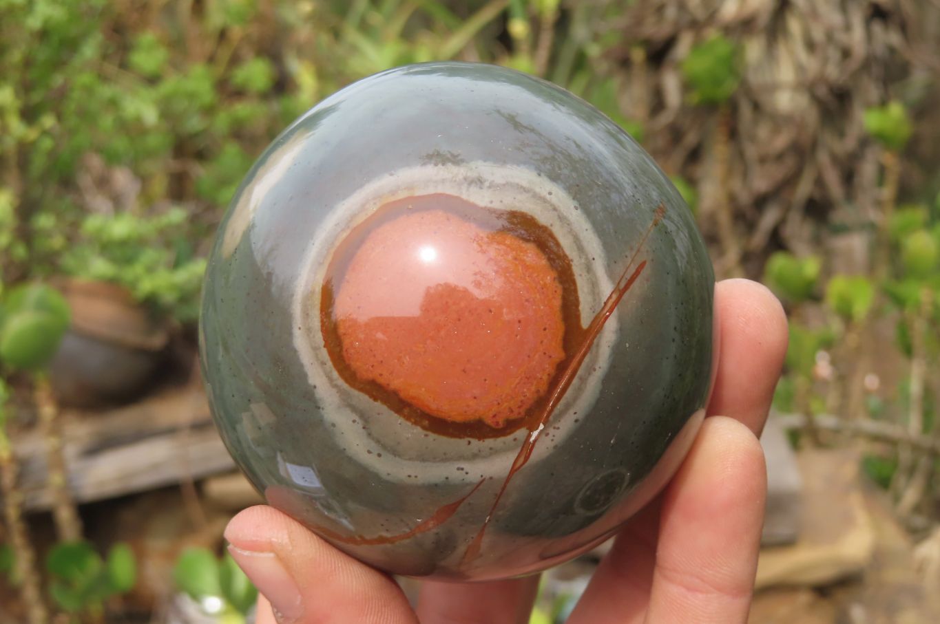 Polished Polychrome Jasper Spheres x 2 From Madagascar - Toprock Gemstones and Minerals 