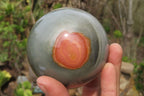 Polished Polychrome Jasper Spheres x 2 From Madagascar - Toprock Gemstones and Minerals 