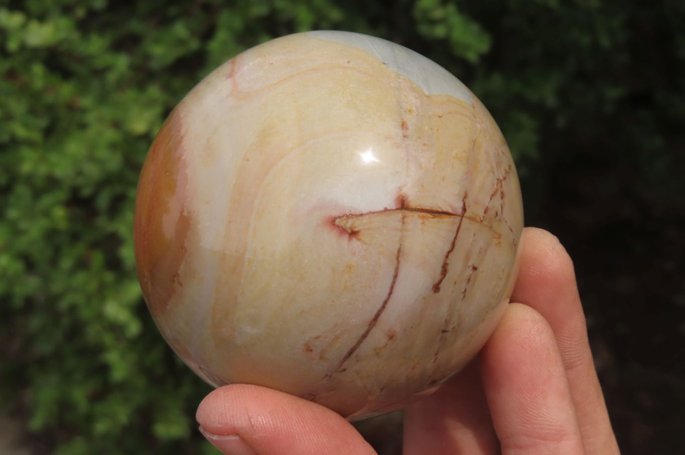 Polished Polychrome Jasper Spheres x 2 From Madagascar - Toprock Gemstones and Minerals 