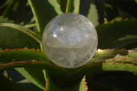 Polished Clear Quartz Crystal Balls x 2 From Madagascar - Toprock Gemstones and Minerals 