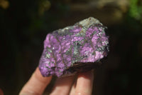 Natural Metallic Purpurite Cobbed Specimens x 6 From Erongo, Namibia - Toprock Gemstones and Minerals 
