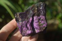 Natural Metallic Purpurite Cobbed Specimens x 6 From Erongo, Namibia - Toprock Gemstones and Minerals 