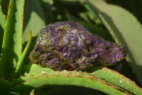 Natural Metallic Purpurite Cobbed Specimens x 6 From Erongo, Namibia - Toprock Gemstones and Minerals 