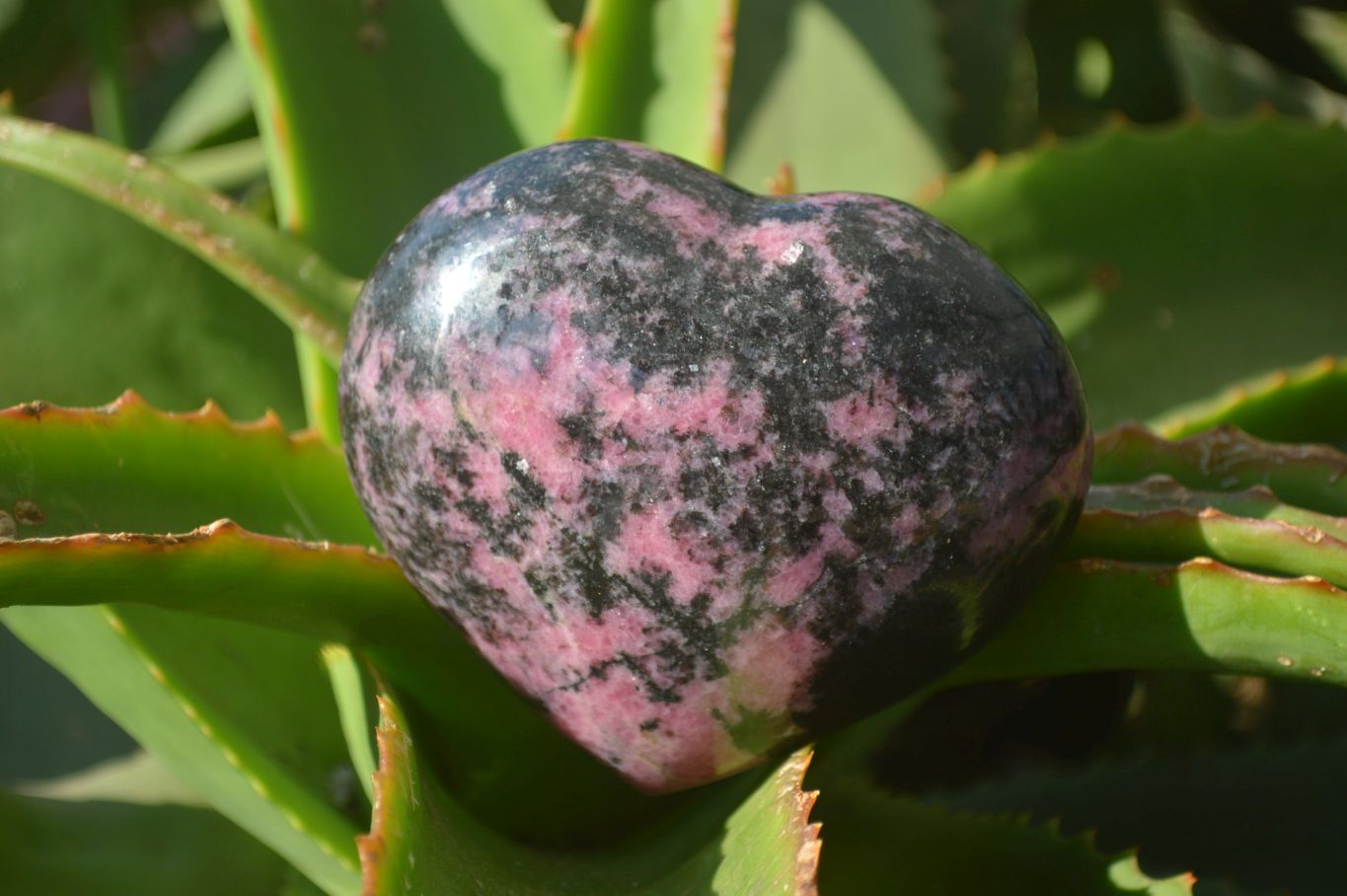 Polished Rhodonite Gemstone Hearts x 3 From Madagascar - Toprock Gemstones and Minerals 