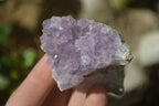 Natural Zululand Amethyst Agate Plate Specimens x 24 From South Africa - Toprock Gemstones and Minerals 