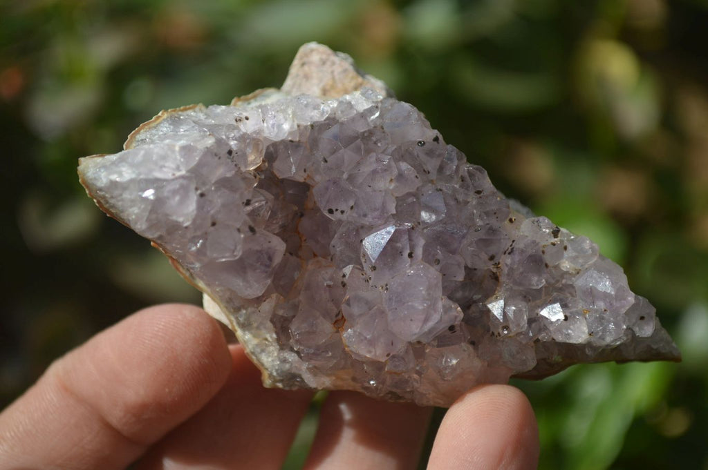 Natural Zululand Amethyst Agate Plate Specimens x 24 From South Africa - Toprock Gemstones and Minerals 