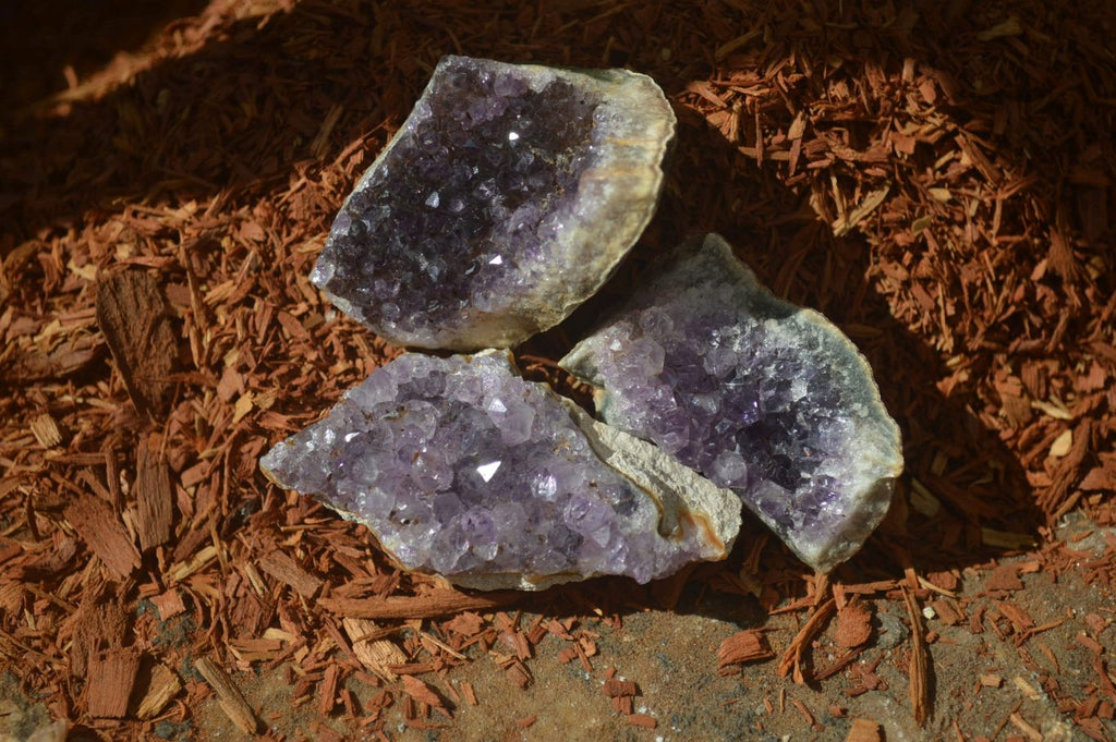 Natural Zululand Amethyst Agate Plate Specimens x 24 From South Africa - Toprock Gemstones and Minerals 