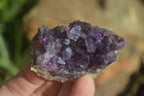 Natural Zululand Amethyst Agate Plate Specimens x 24 From South Africa - Toprock Gemstones and Minerals 
