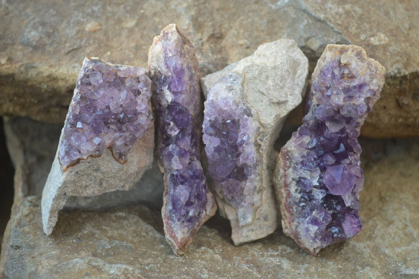 Natural Zululand Amethyst Agate Plate Specimens x 24 From South Africa - Toprock Gemstones and Minerals 