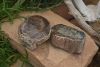 Polished Petrified Wood Slices x 2 From Zimbabwe