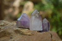 Polished Window Amethyst Quartz Crystals x 20 From Akansobe, Madagascar - Toprock Gemstones and Minerals 