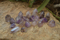 Polished Window Amethyst Quartz Crystals x 20 From Akansobe, Madagascar - Toprock Gemstones and Minerals 