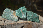 Natural Swazi Jade Cobbed Specimens x 12 from Swaziland - Toprock Gemstones and Minerals 