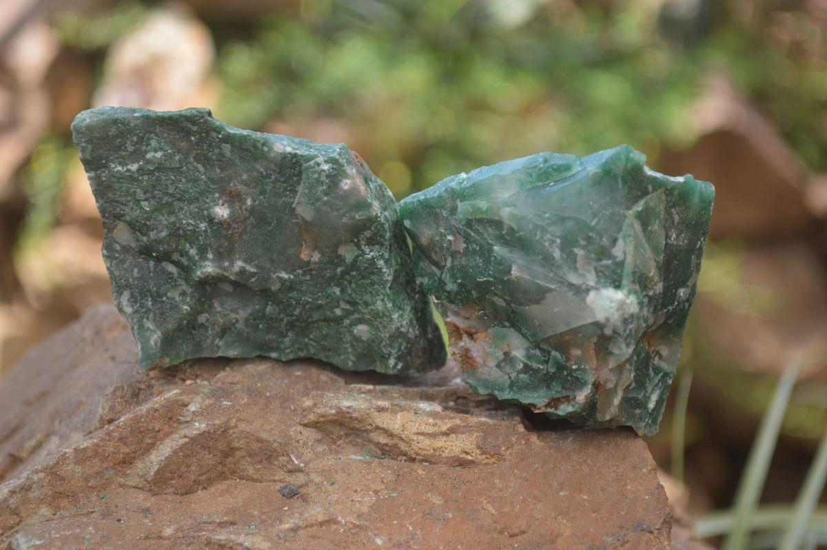 Natural Swazi Jade Cobbed Specimens x 12 from Swaziland - Toprock Gemstones and Minerals 