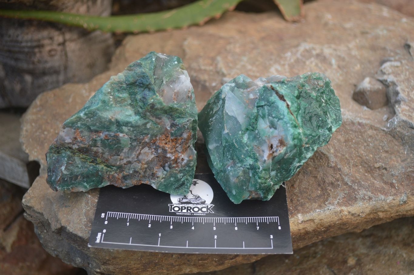 Natural Swazi Jade Cobbed Specimens x 12 from Swaziland - Toprock Gemstones and Minerals 