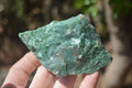 Natural Swazi Jade Cobbed Specimens x 12 from Swaziland - Toprock Gemstones and Minerals 