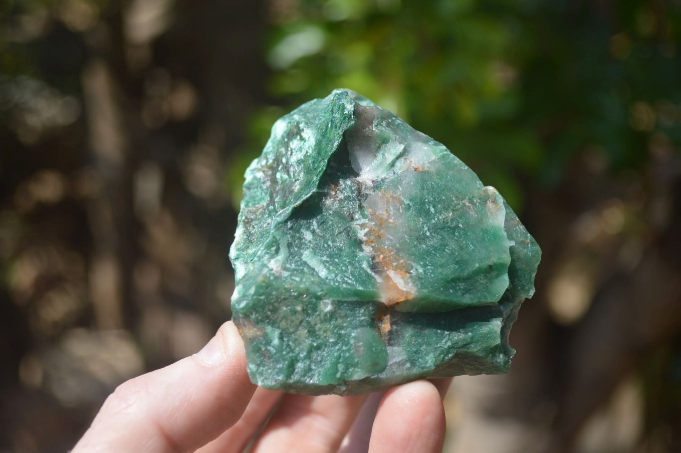 Natural Swazi Jade Cobbed Specimens x 12 from Swaziland - Toprock Gemstones and Minerals 