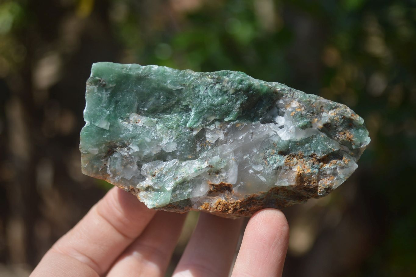 Natural Swazi Jade Cobbed Specimens x 12 from Swaziland - Toprock Gemstones and Minerals 