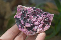 Natural Salrose Cobaltion Dolomite Specimens x 6 From Kakanda, Congo - Toprock Gemstones and Minerals 