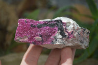 Natural Salrose Cobaltion Dolomite Specimens x 6 From Kakanda, Congo - Toprock Gemstones and Minerals 