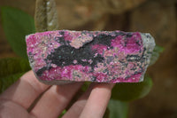 Natural Salrose Cobaltion Dolomite Specimens x 6 From Kakanda, Congo - Toprock Gemstones and Minerals 