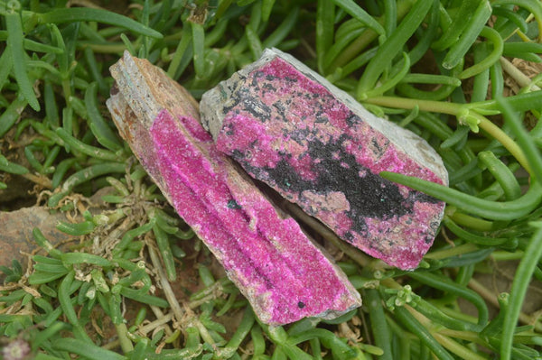 Natural Salrose Cobaltion Dolomite Specimens x 6 From Kakanda, Congo - Toprock Gemstones and Minerals 