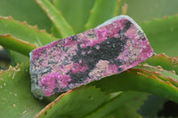 Natural Salrose Cobaltion Dolomite Specimens x 6 From Kakanda, Congo - Toprock Gemstones and Minerals 