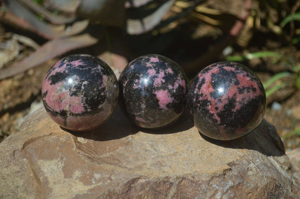 Polished Rhodonite Spheres x 3 From Madagascar - Toprock Gemstones and Minerals 