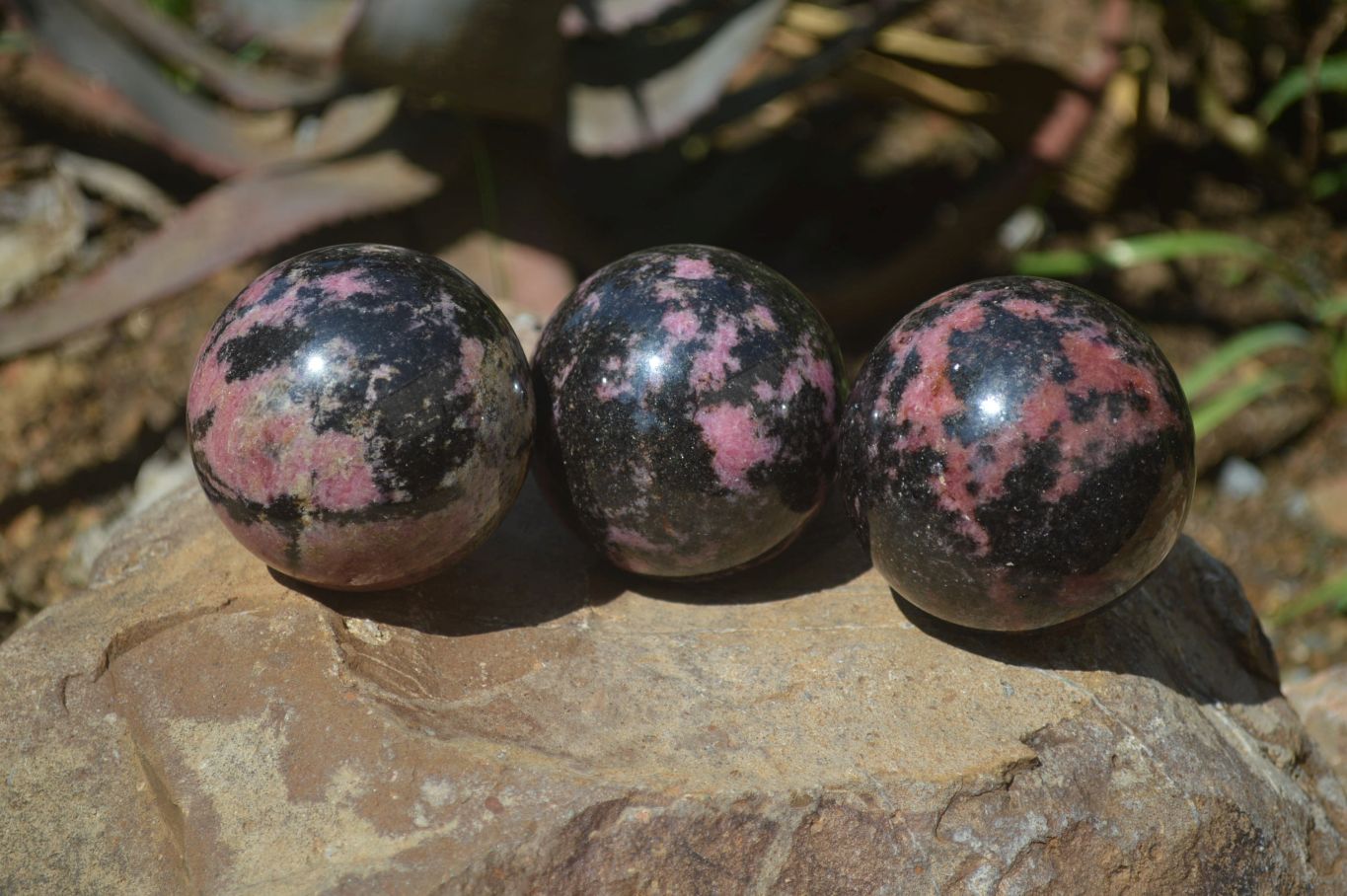 Polished Rhodonite Spheres x 3 From Madagascar - Toprock Gemstones and Minerals 