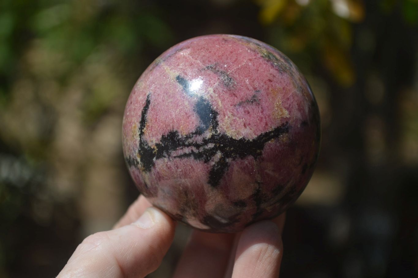Polished Rhodonite Spheres x 3 From Madagascar - Toprock Gemstones and Minerals 